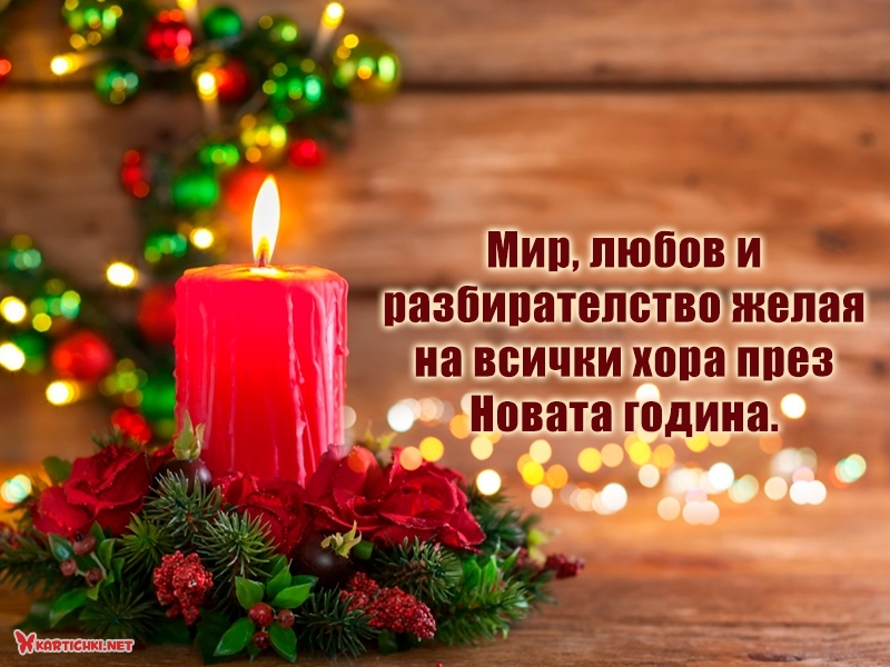 Мир, любов и разбирателство желая на всички хора през Новата година.