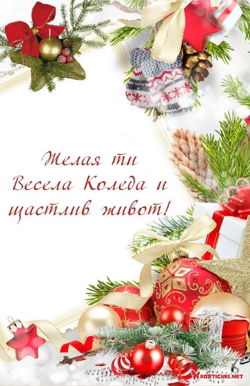 Желая ти Весела Коледа и щастлив живот