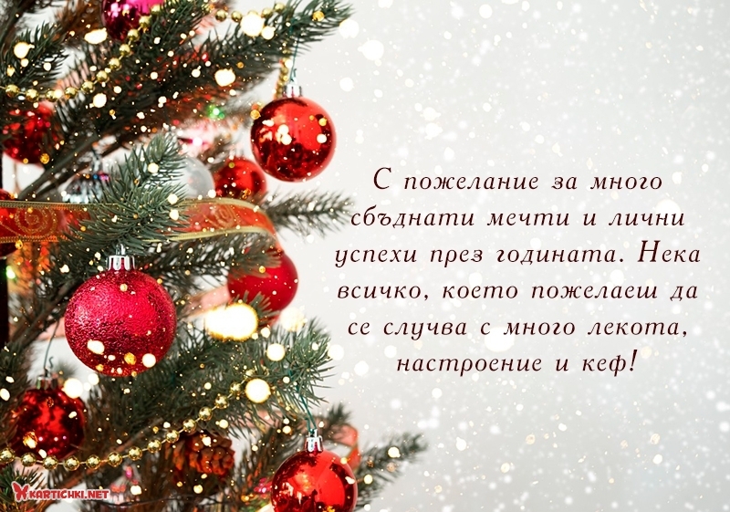 С пожелание за много сбъднати мечти и лични успехи през годината - Нова ...