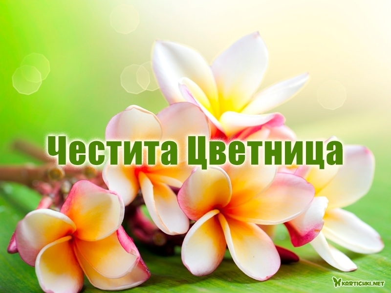 Честита Цветница - Цветница, Връбница - Картички - Kartichki.net