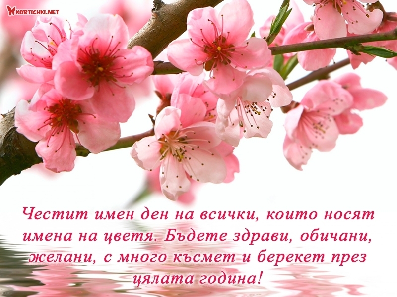 Честит имен ден на всички, които носят имена на цветя - Цветница ...