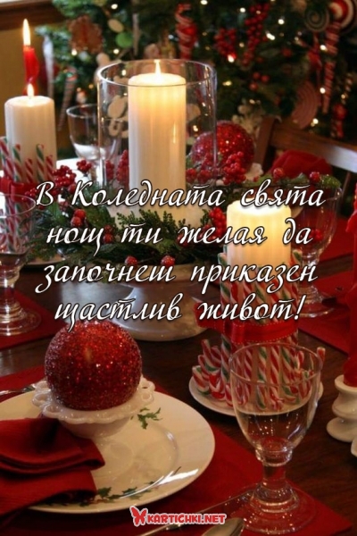 В Коледната свята нощ ти желая да започнеш приказен щастлив живот!