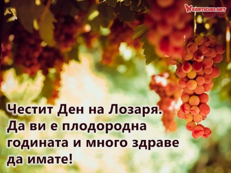 Честит Ден на Лозаря - Трифон Зарезан - Трифоновден - Картички ...